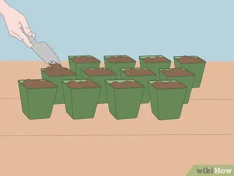 Imagen titulada Grow Tomatoes from Seeds Step 12