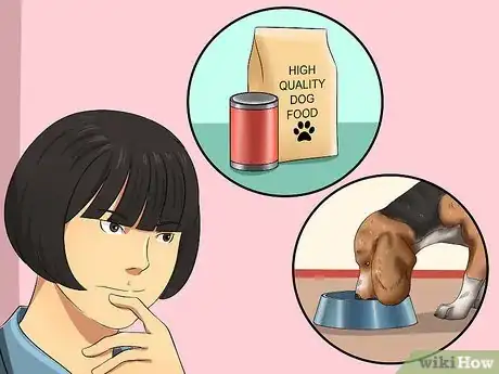 Imagen titulada Get Your Dog to Eat Dry Food Step 4