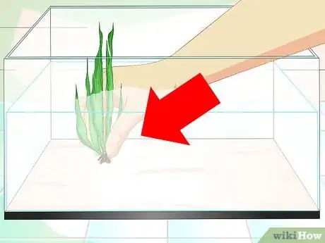 Imagen titulada Keep Aquarium Water Clear Step 3