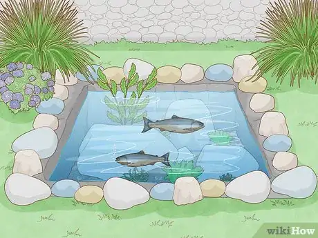 Imagen titulada Raise Salmon in a Pond Step 1