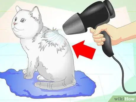 Imagen titulada Inconspicuously Bathe a Cat Without Being Scratched Step 13