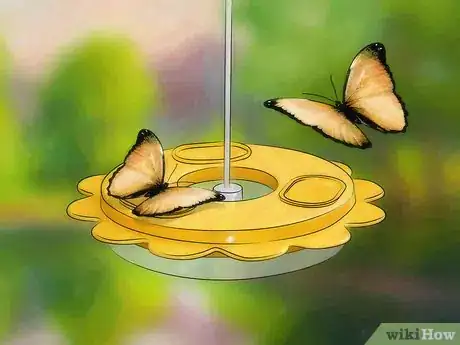 Imagen titulada Attract Butterflies Step 11