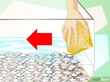 Imagen titulada Fix Cloudy Aquarium Water Step 3