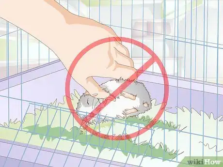 Imagen titulada Get a Hamster to Sleep Step 6