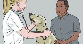 tratar el jadeo en los perros