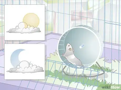 Imagen titulada Get a Hamster to Sleep Step 7