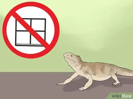 Imagen titulada Train a Bearded Dragon Step 2