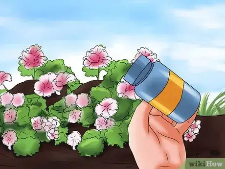 Imagen titulada Grow Geraniums Step 12