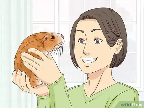 Imagen titulada Tame Your Guinea Pig Step 8