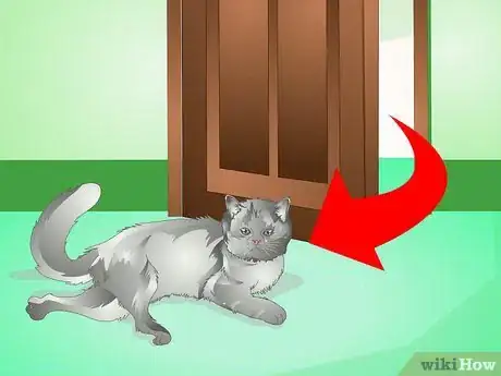 Imagen titulada Treat an Abscess on a Cat Step 5