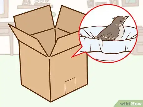 Imagen titulada Help a Baby Bird That Has Fallen Out of a Nest Step 9