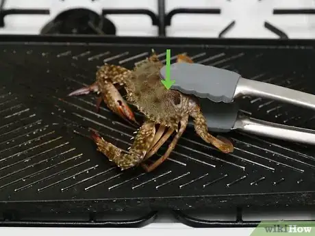 Imagen titulada Cook a Crab Step 14