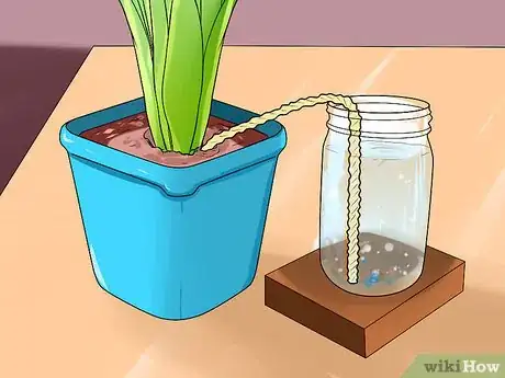 Imagen titulada Water Plants While You're Away Step 13