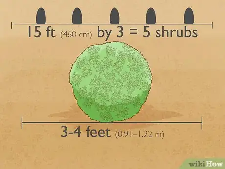 Imagen titulada Grow a Hedge Fence Step 4