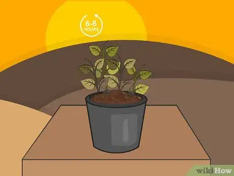 Imagen titulada Plant Potatoes in Pots Step 17