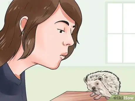 Imagen titulada React when Your Hedgehog Bites You Step 4