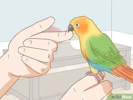 Imagen titulada Know if a Conure Is Right for You Step 5