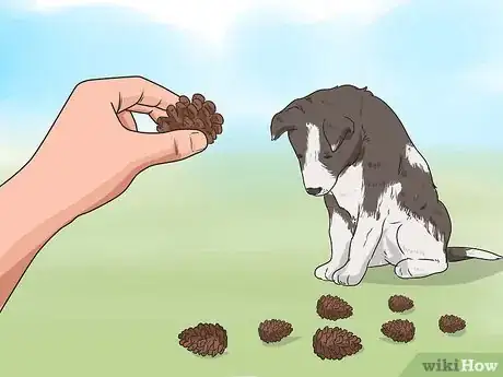 Imagen titulada Stop Your Dog from Eating Your Plants Step 9