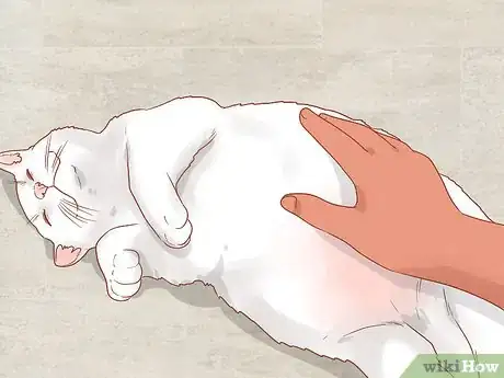 Imagen titulada Stop a Cat from Scratching the Door Step 8