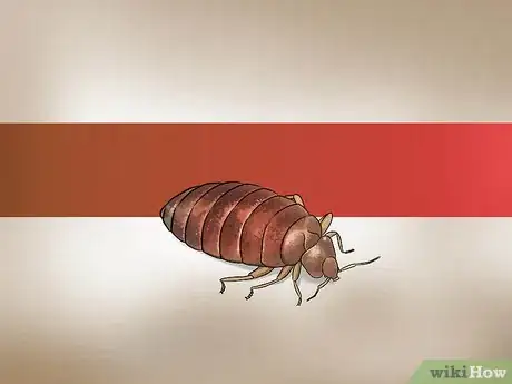 Imagen titulada Recognize Bed Bugs Step 2