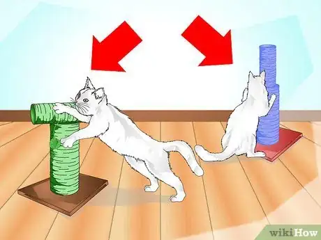 Imagen titulada Get Your Cat to Use a Scratching Post Step 4