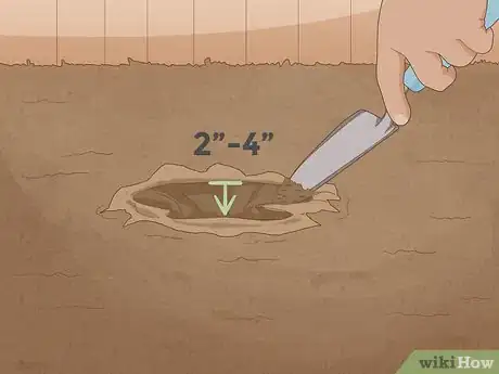 Imagen titulada Test Soil pH Step 1