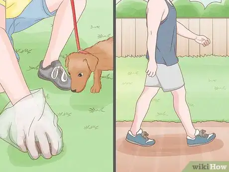 Imagen titulada Become a Professional Dog Walker Step 7