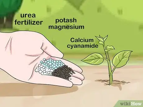 Imagen titulada Apply Urea Fertilizer Step 11
