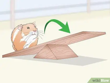 Imagen titulada Teach a Hamster Tricks Step 11