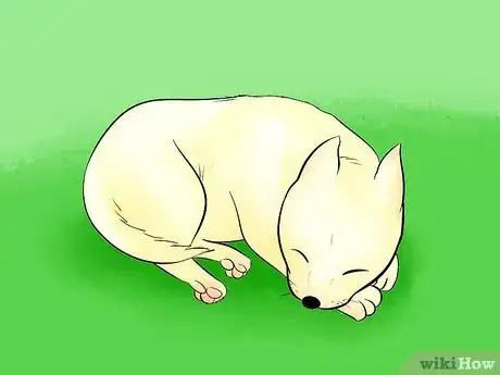 Imagen titulada Draw a Cartoon Dog Step 28