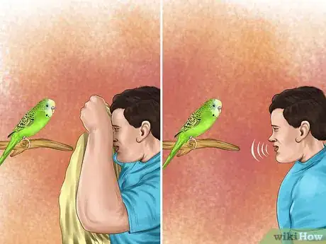 Imagen titulada Play With Your Parakeet Step 4