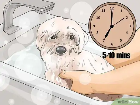 Imagen titulada Get Rid of the Skunk Smell on Pets Step 5