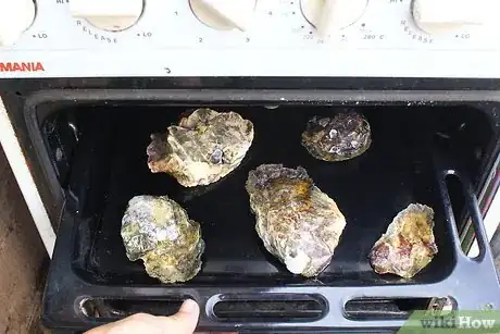 Imagen titulada Prepare Oyster Shells for Chickens Step 2