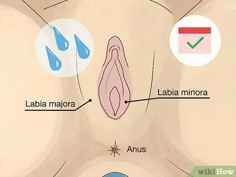 Imagen titulada Control Vaginal Discharge Step 3