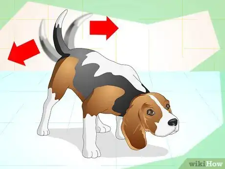 Imagen titulada Understand What Your Dog Wants Step 5