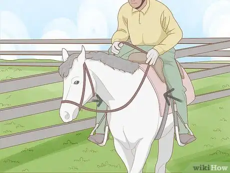 Imagen titulada Begin Horseback Riding Step 16