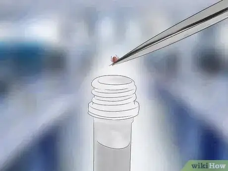 Imagen titulada Get Rid of Bug Bites Step 18