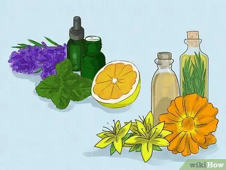 Imagen titulada Tell the Difference Between Essential Oil and Infused Oil Step 4