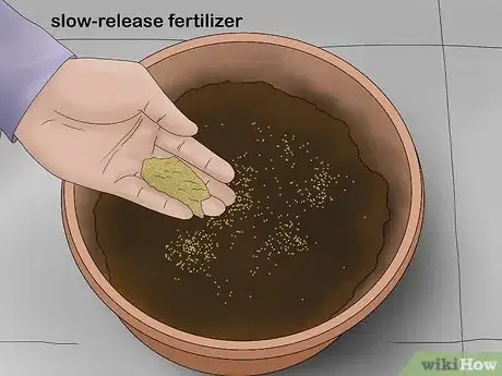 Imagen titulada Grow Lemon Balm Step 5