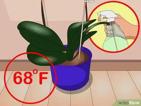 Imagen titulada Care for Indoor Plants Step 3