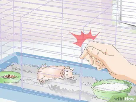 Imagen titulada Wake up Your Hamster Without Scaring It Step 10