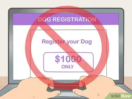 Imagen titulada Register Your Dog Step 3