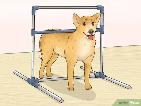 Imagen titulada Measure Dog Height Step 7