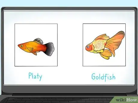 Imagen titulada Feed Fish Step 1