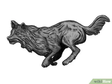 Imagen titulada How to Draw a Running Wolf Intro