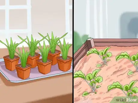 Imagen titulada Water Plants While You're Away Step 24