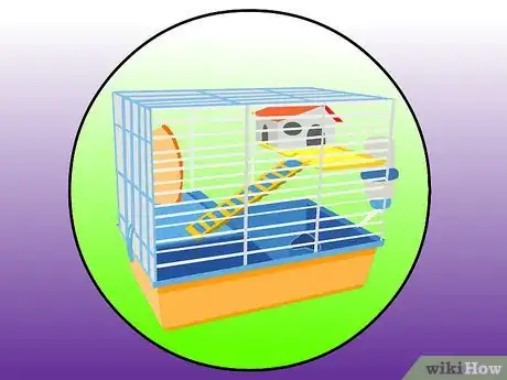 Imagen titulada Find a Lost Hamster Step 7