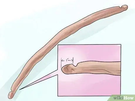 Imagen titulada Make a Natural Bow and Arrow Step 5