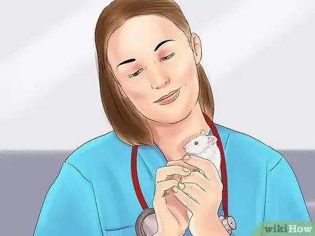 Imagen titulada Treat Tumors in Hamsters Step 10