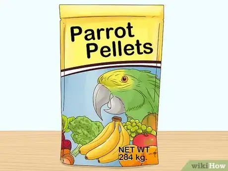 Imagen titulada Feed Parrots Step 1